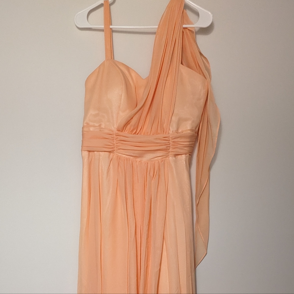 Floor Length Peach Dress